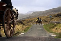 Traditional horse carriage. Free public domain CC0 photo.