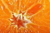 Closeup on freshly cut open orange. Free public domain CC0 photo.