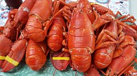 Lobster. Free public domain CC0 photo