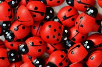 Miniature red ladybug. Free public domain CC0 photo.