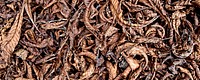 Dry leaf texture background.  Free public domain CC0 photo.