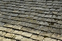 Cobblestone pavement for walking. Free public domain CC0 photo