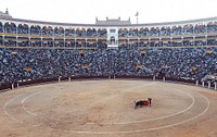 Free bullfighting, Madrid, Spain photo, public domain travel CC0 image.