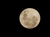 Full moon in dark sky. Free public domain CC0 photo.