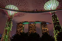 Gardens by the bay, Singapore. Free public domain CC0 photo.