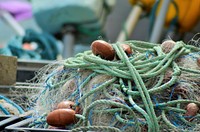 Fishing nest. Free public domain CC0 photo.