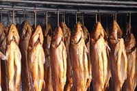 Dead fish for cooking. Free public domain CC0 photo