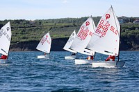 Laser class sailboat regatta. Free public domain CC0 photo.