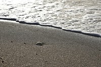 Crashing beach waves close up. Free public domain CC0 image.