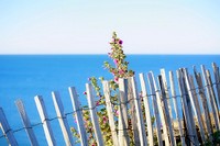 Mediterranean seascape. Free public domain CC0 image