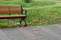 Park bench. Free public domain CC0 photo