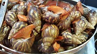 Delicious gastronomy food, snails. Free public domain CC0 photo