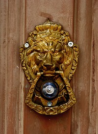 Lion door knocker in brass. Free public domain CC0 photo.