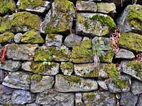Stone wall. Free public domain CC0 photo.