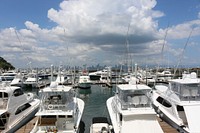 Yachts docking at marina. Free public domain CC0 photo.