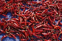 Dry red chilis. Free public domain CC0 photo