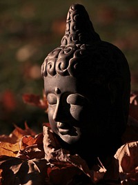 Free Buddhist head statue close up public domain CC0 photo.