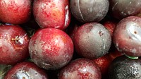 Pile of plum fruit. Free public domain CC0 photo.