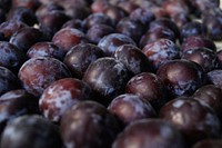 Pile of plum fruit. Free public domain CC0 photo.