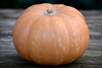 Closeup on pumpkin. Free public domain CC0 photo.