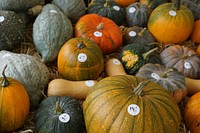 Variety of pumpkins in a market. Free public domain CC0 photo.