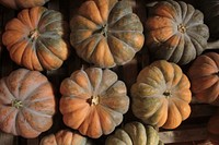 Pumpkin season. Free public domain CC0 photo.