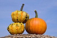 Closeup on stacked pumpkins. Free public domain CC0 photo.