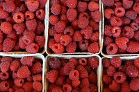 Red raspberries in boxes. Free public domain CC0 image. 