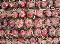 Red onions. Free public domain CC0 image