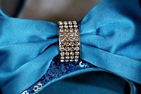 Blue bow accessory. Free public domain CC0 photo.