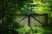 Wooden fence & green trees. Free public domain CC0 photo