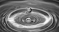 Waterdrop. Free public domain CC0 image.