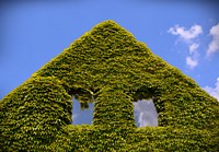 Ivy climbing all over a house frame. Free public domain CC0 photo