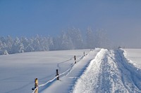 Snow covered track on field. Free public domain CC0 image. 