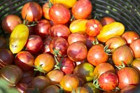 Cherry tomatoes in bowl. Free public domain CC0 photo.