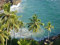 Tropical sea and coconut trees. Free public domain CC0 photo.