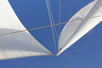 Laser class sailboat. Free public domain CC0 photo.