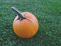 Closeup on pumpkin on grass. Free public domain CC0 photo.