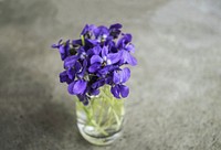 Sweet violet flowers in glass vase. Free public domain CC0 photo.