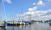 Yachts docking at marina. Free public domain CC0 photo.