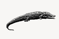 Crocodile clipart, vintage reptile illustration vector. Free public domain CC0 image.