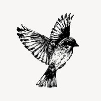 Sparrow bird clipart, vintage animal illustration vector. Free public domain CC0 image.