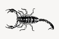 Scorpion clipart, vintage animal illustration vector. Free public domain CC0 image.