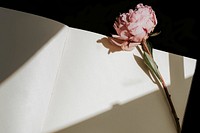 Blank diary with natural light and pink peony flower