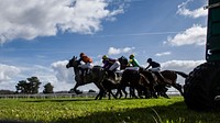 Free galloping race horses in racing competition image, public domain animal CC0 photo.