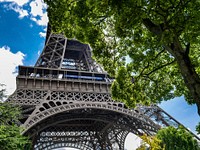 Eiffel Tower In Paris with tree frame, free public domain CC0 photo.