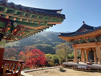 Free Yeongoksa Temple In Gurye South Korea, public domain travel CC0 image.
