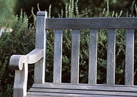 Free park bench image, public domain nature CC0 photo.