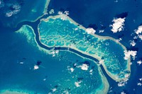 Great Barrier Reef Near Whitsunday Islands