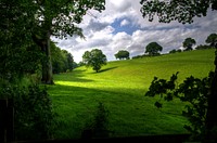 Free overview of green grass field image, public domain nature CC0 photo.